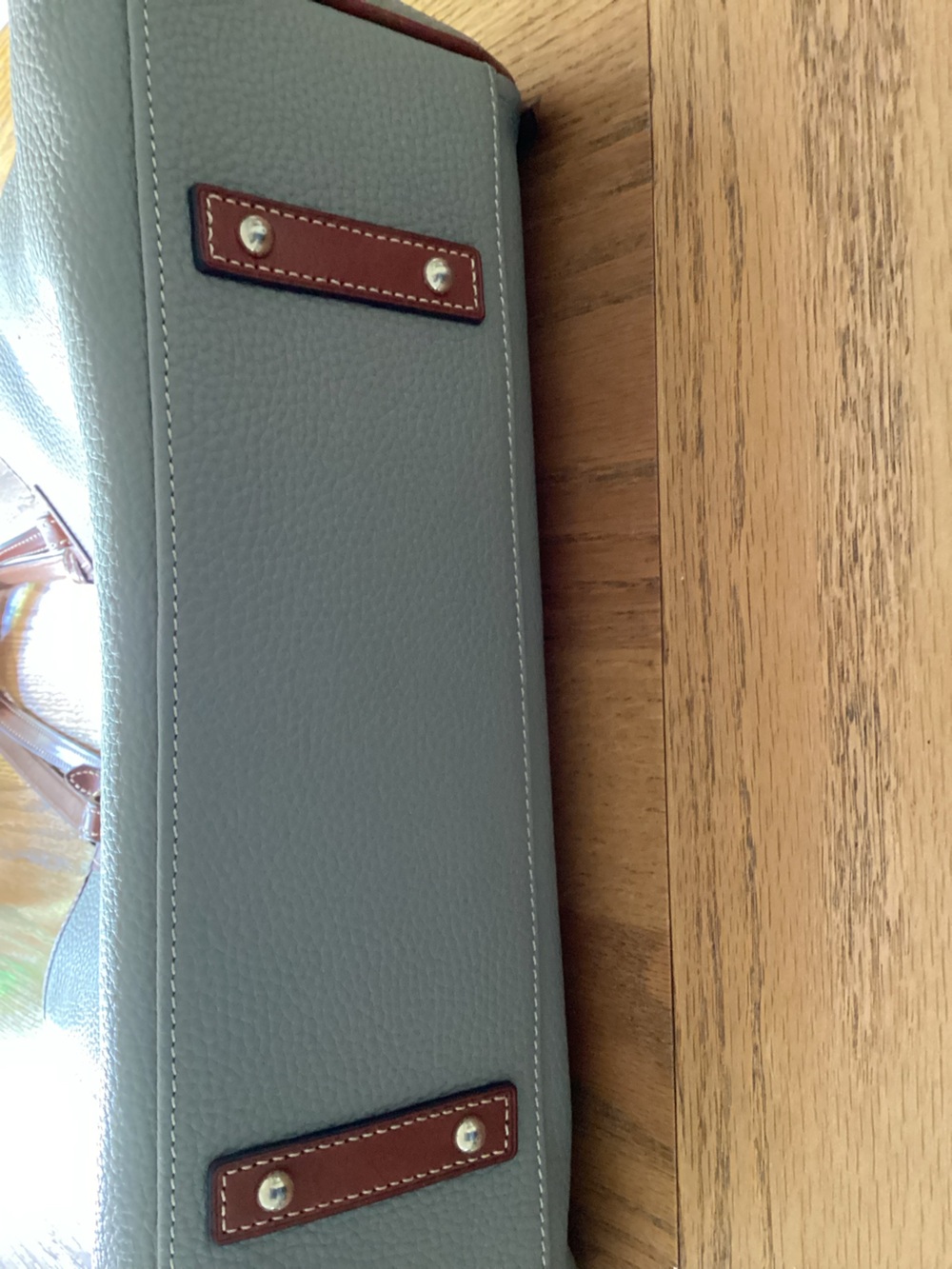 Dooney & Bourke Light green Pebble Leather Tote with Brown Trim - Picture 4 of 9